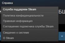 Steam Support and how it works Steam Support Number