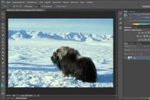 Using the Content-Aware feature in Photoshop
