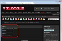 Tunngle Network Adapter Failed to Initialize: Configuring and Troubleshooting an Error