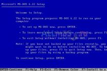 Running old DOS programs under Windows x64